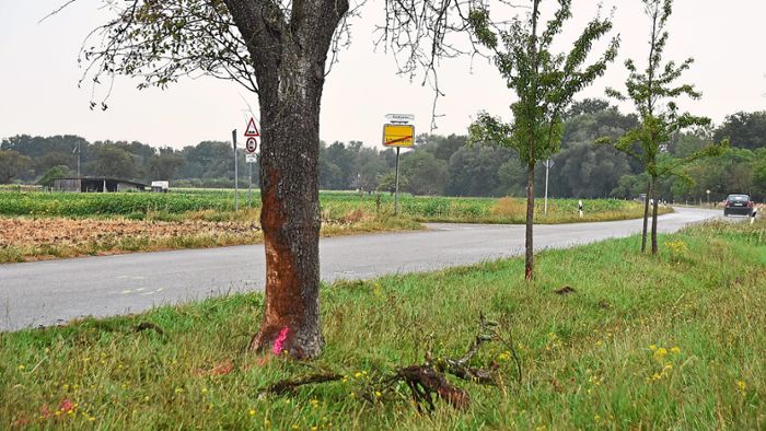 Auto prallt gegen Baum: Neunjähriger stirbt nach Unfall der betrunkenen Mutter in Neuried