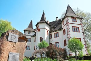 Einigen sich Ortschafts- und Gemeinderat schnell auf eine Variante, soll noch in diesem Jahr die Umgestaltung des Schmieheimer Schlossgartens beginnen.  Foto: Vichra