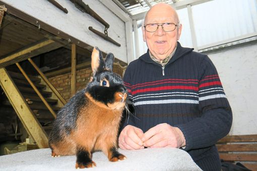 Wilhelm Heizmann aus Heiligenzell ist Badischer Meister in der Kaninchenzucht. Ans Aufhören denkt der 80-Jährige noch lange nicht.    Foto: Bohnert-Seidel