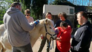 Das Pony „Fips“ lässt sich verwöhnen, während Ute Stingl (Dritte von rechts) geduldig alle Fragen der Bewohner der Lebenshilfe Offenburg beantwortet. Foto: Kron