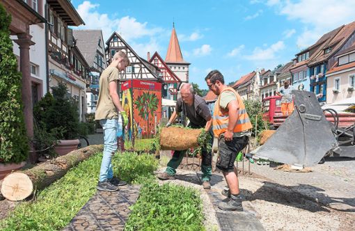 Gengenbach blüht und grünt und macht damit jetzt auch verstärkt Werbung.Foto: Stadt Foto: Lahrer Zeitung