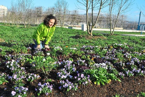 Petra Sattler, bei der Gartenschau-Gesellschaft zuständig für die Öffentlichkeitsarbeit, erfreut sich an den Frühjahrspflanzen im Bürgerpark.                                                                                                                                                                                                                                                                                                                                                                                                                                                                                                                                                           Foto: Schabel