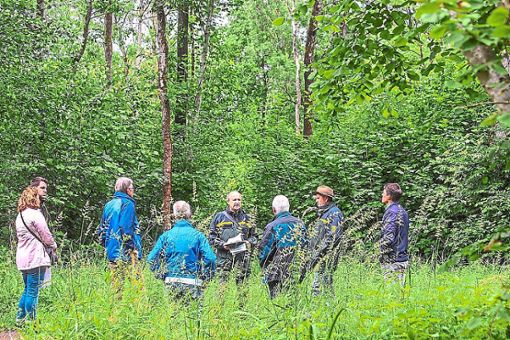 Der Kippenheimer Gemeinderat hat sich 2020 intensiv mit dem Thema Wald beschäftigt, unter anderem bei einer Waldbegegung im Juni.Archivfoto: Decoux-Kone Foto: Lahrer Zeitung