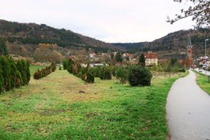 Der Grünzug Richtung Friesenheim ist Teil des ehemaligen Klostergeländes und befindet sich jetzt im Eigentum der Gemeinde Friesenheim.  Foto: Bohnert-Seidel Foto: Lahrer Zeitung