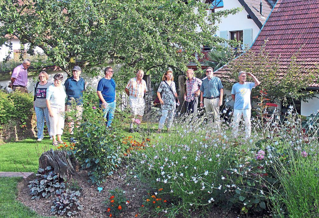 Bei ihrer Sommertour besuchte die Lahrer SPD den Garten der Familie Rothmann in Kuhbach und war von der Anlage begeistert. Foto: Mühl Foto: Lahrer Zeitung
