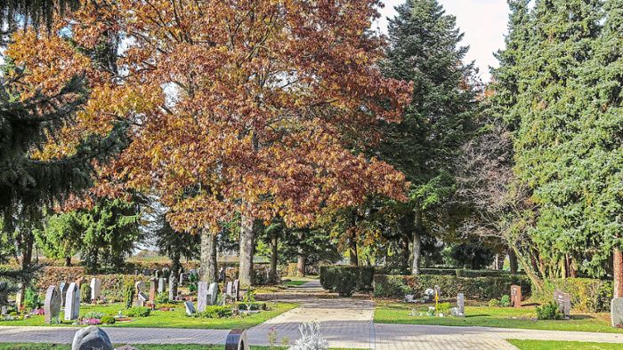 Mahlberg: Neue  Friedhofsgebühren in der Kritik