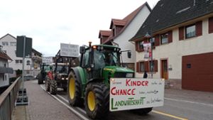 Mit Hupen und Schildern machten die Bauern im Januar in der Hausacher Hauptstraße  auf die Situation in der Landwirtschaft aufmerksam. Foto: Kapitel-Stietzel
