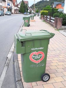 In Reih und Glied warten Mülltonnen in Kuhbach auf ihre Leerung. Das Landratsamt weist darauf hin, dass sie spätestens um 6 Uhr aufgestellt sein sollten.  Foto: Merck