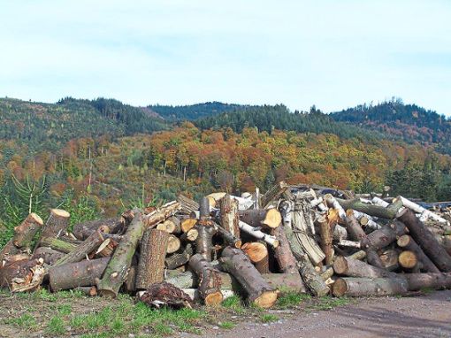 Der Gesamtholzverkauf der Forstbetriebsgemeinschaft  im vergangenen Jahr belief sich auf 13 941 Festmeter. Dies führte zu einem Umsatzplus von zehn Prozent. Foto: Vögele Foto: Lahrer Zeitung