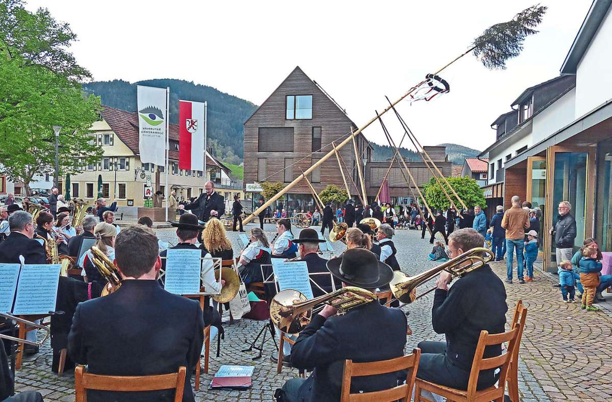 In Oberwolfach haben am Samstagabend die Zimmermänner den traditionellen Maibaum vor der Festhalle aufgestellt. Begleitet wurde die Aktion mit Musik der Trachtenkapelle Oberwolfach.