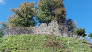 Unter den heute sichtbaren Überresten der Burg Wolva könnte sich noch weitaus mehr verbergen – die Siedlergemeinschaft blickt nun genauer hin. Foto: privat