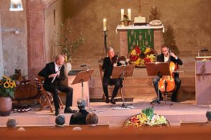 Mit tollen Klängen wurden die Zuhörer in der Burgheimer Kirche unterhalten. Foto: Haberer Foto: Lahrer Zeitung