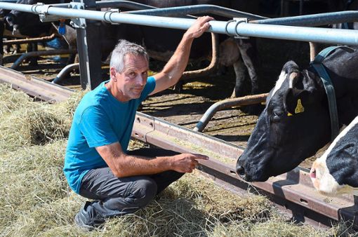 Klaus Haas füttert die Kühe auf seinem  Bio-Hof. Fotos: Bühler Foto: Lahrer Zeitung