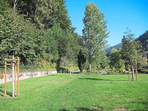 In Wolfach sind ab Oktober auch Friedwald-Bestattungen möglich. Das hat der Gemeinderat beschlossen. Foto: Jehle Foto: Schwarzwälder Bote