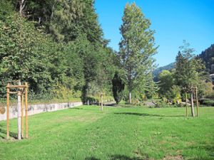 In Wolfach sind ab Oktober auch Friedwald-Bestattungen möglich. Das hat der Gemeinderat beschlossen. Foto: Jehle Foto: Schwarzwälder Bote
