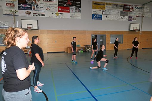 Beim Volleyballtag  in Friesenheim wurde Kindern und Jugendlichen ermöglicht, die Sportart kennenzulernen.  Foto: cbs Foto: Lahrer Zeitung