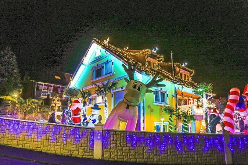 Etwa 50 000 LEDs lassen das Weihnachtshaus in buntem Licht erstrahlen. Die großen Figuren, wie hier das Rentier, werden mit Kompressoren aufgeblasen. Foto: Decoux-Kone