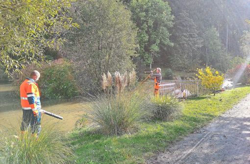 Mitarbeiter des Bauhofs versuchten am Mittwoch, den Waldsee zu säubern. Foto: Störr
