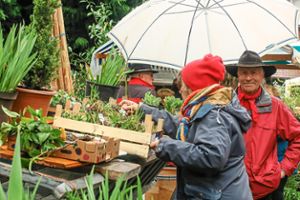 Mit Regenschirm auf Entdeckungstour: die Besucher der Münchweierer Pflanzenbörse Foto: Decoux-Kone Foto: Lahrer Zeitung