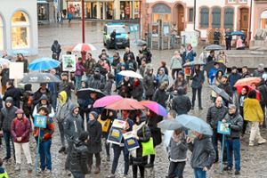 Bei  der Abschlusskundgebung auf dem Marktplatz ließen sich die Besucher vom Regen nicht stören. Foto: Baublies
