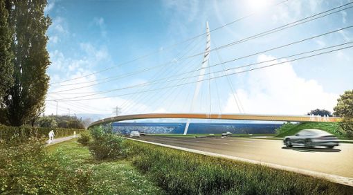 Wer ist schuld daran, dass die Landesgartenschau-Brücke nicht schon längst fertig ist? Darüber gibt es Streit zwischen der Brückenbau-Firma und den Planern.  Grafik: Archiv