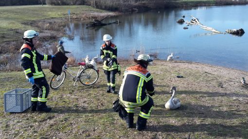Schwan von Offenburger Feuerwehr am Gifiz-See gerettet. Foto: Feuerwehr Offenburg