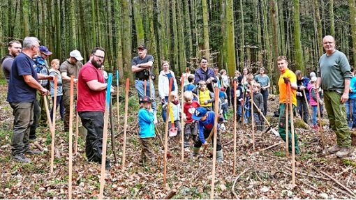 Bevor mit dem Baumpflanzen in Kippenheim losgelegt wurde, gab es zunächst eine Einweisung, wie die Bäume richtig gesetzt werden. Foto: Schillinger-Teschner