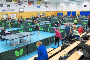 Mehr als 170 Tischtennis-Asse gingen bei den Landesmeisterschaften in Friesenheim an den Start. Foto: Bohnert-Seidel Foto: Lahrer Zeitung