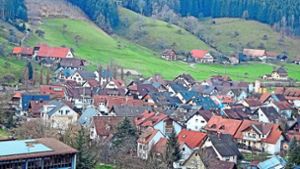 Gemeinderat Oberwolfach: Bauabsichten sollen unterstützt werden