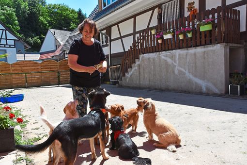 Setzt sich für rumänische Straßenhunde ein: Esther Kolb mit einigen ihrer eigenen und drei Pflegehunden.  Foto: Göpfert Foto: Lahrer Zeitung