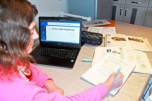 Seit einer guten Woche wird im Kinzigtal zuhause gelernt – auch im Hause Störr in Hofstetten.Foto: Störr Foto: Schwarzwälder Bote