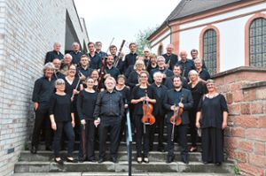 Im Kammerorchester Ettenheim spielen neben professionellen Instrumentalisten auch viele Laienmusiker. Foto: Breitsprecher Foto: Schwarzwälder Bote