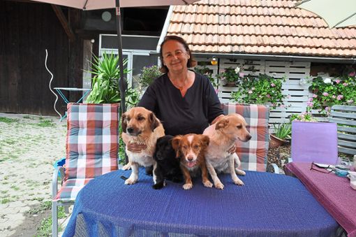 Esther Kolb mit vier ihrer fünf Hunde (von links): Diva, Cherie, Sunny   und Kira Foto: Göpfert Foto: Lahrer Zeitung