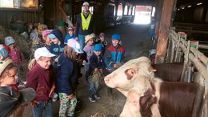 Auf dem Wanglerhof besuchten die Kindergartenkinder auch die Kühe. Foto: Kindergarten Foto: Lahrer Zeitung