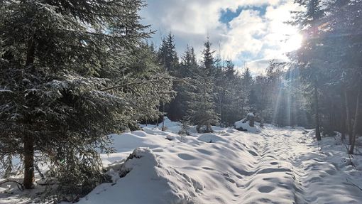 Traumhafte Winterlandschaften bietet der 700 Meter hoch gelegene Hünersedel. Die bisher höchste Schneedecke mit bis zu 33 Zentimetern wurde am 1. Dezember gemessen.   Foto: Wetterstation Ettenheimmünster