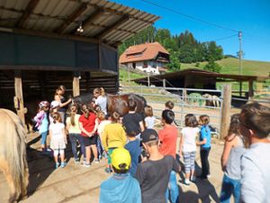 Auf dem Bachbauernhof dürfen die Teilnehmer des Ferienprogramms die Pferde striegeln. Foto: Archivfoto: Gemeinde Gutach