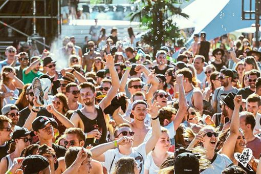 Sommer, Sonne und Elektromusik: Das Kamehameha-Festival zog in den vergangenen Jahren viele Musikliebhaber an. Foto: Promo Foto: Lahrer Zeitung