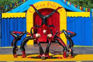 Auch der Circus Paletti macht beim Kinderfestival der Lahrer Zeitung am Sonntag, 22. Juli, im Stadtpark mit.  Foto: privat