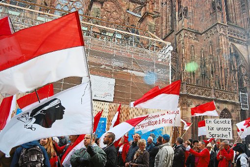 Direkt vor dem Straßburger Münster liefen die Demonstranten auf und forderten, dass ihr Dialekt an den Schulen unterrichtet werden müsse.  Foto: Schauer Foto: Lahrer Zeitung