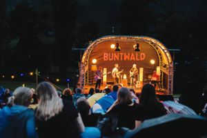 Nach Einsetzen der Dunkelheit kam beim Picknick-Konzert 2021 gemütliche Stimmung auf. Foto: Buntwald
