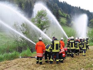 Die Maschinisten der Feuerwehr üben die  Förderung von Wasser aus der Schutter. Foto: Feuerwehr Foto: Lahrer Zeitung