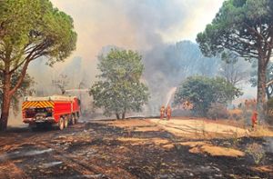 Die Feuerwehr in Wolfachs französischer Partnerstadt hat mehrere Tage lang die Brände im Wald eingedämmt und letztlich gelöscht. Foto: Facebook/Sdis83 officiel - Sapeurs-Pompiers du Var