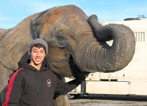 René Casselly mit der Elefantenkuh Kimba Foto: Tebbel Foto: Lahrer Zeitung